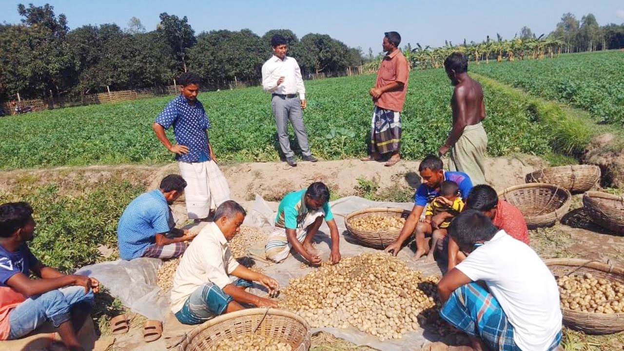 কিশোরগঞ্জে বাজারে নতুন আলুঃ প্রতি কেজি ৯০ টাকা